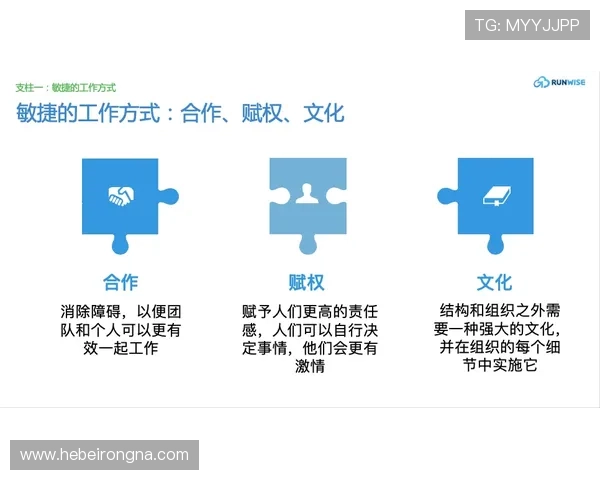 掌握ng南宫体育官方入口的详细操作流程，确保每位玩家都能顺利畅玩游戏体验